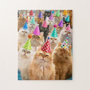 Katzenparty