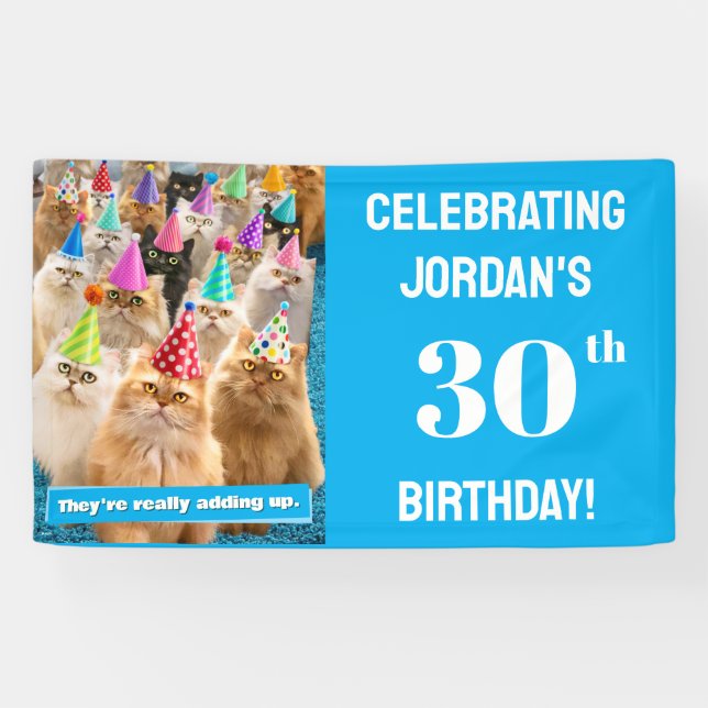 Katzenparty Banner (Horizontal)