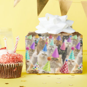 Katzenparty Geschenkpapier