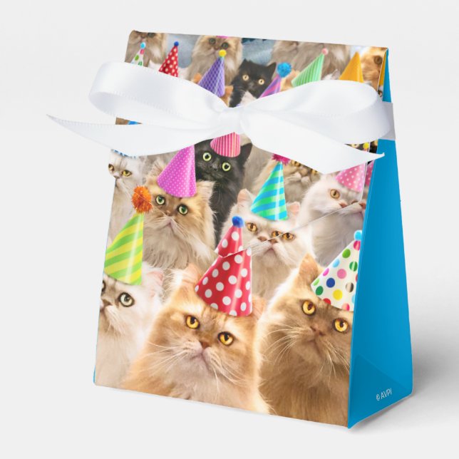 Katzenparty Geschenkschachtel (Vorderseite)