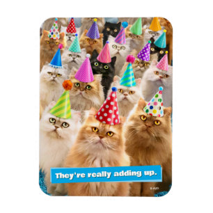 Katzenparty Magnet