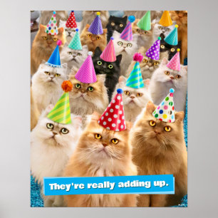 Katzenparty Poster