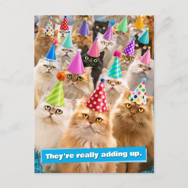 Katzenparty Postkarte (Vorderseite)