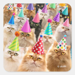 Katzenparty Quadratischer Aufkleber