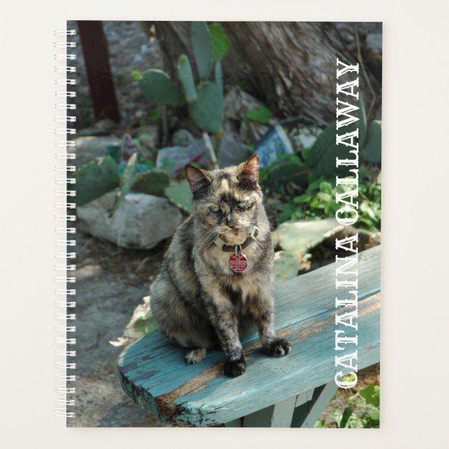 Katzenplaner Planer (Vorderseite)
