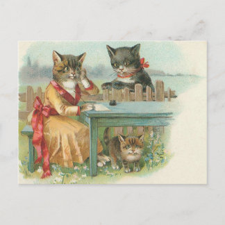 Katzenpostkarte Postkarte