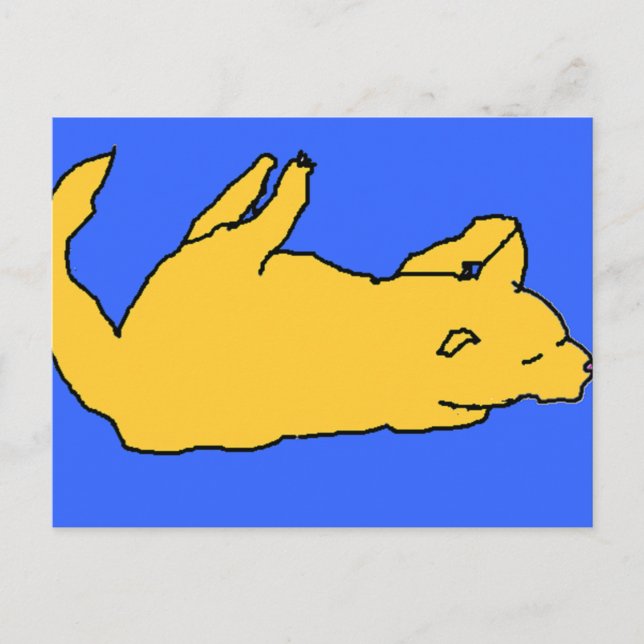 Katzenpostkarte Postkarte (Vorderseite)