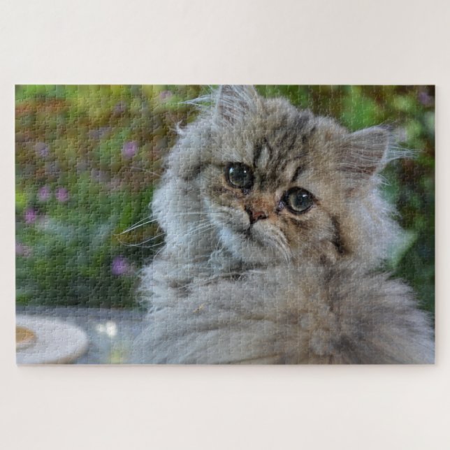Katzenpuzzle (Horizontal)