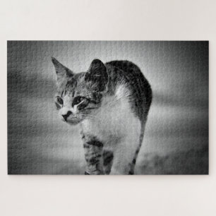 Katzenpuzzle suchen