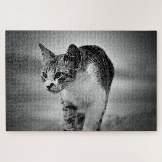 Katzenpuzzle suchen (Horizontal)