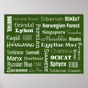 Katzenrassen Poster