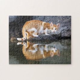Katzenreflektion im Teichwasser, Spiel