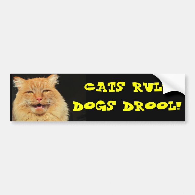 Katzenregel Hundegeifer Autoaufkleber (Vorne)