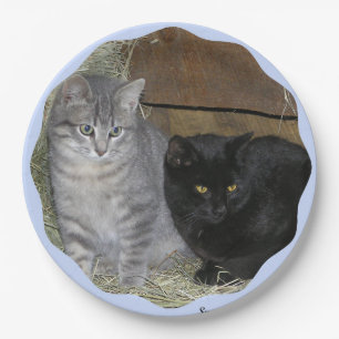 Katzenregelplatte Pappteller