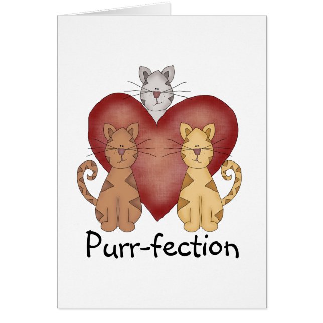 Katzenregen und Schirme (Vorne)