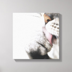 Katzenreinigungstatze Leinwanddruck