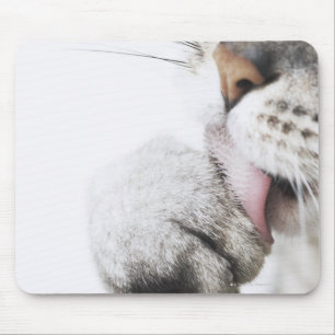 Katzenreinigungstatze, Nahaufnahme Mousepad
