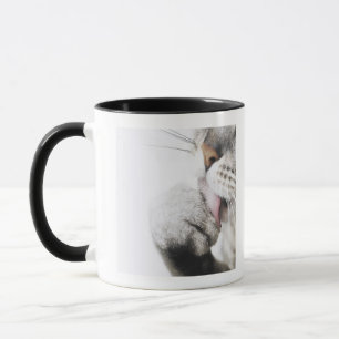 Katzenreinigungstatze Tasse
