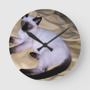 Katzensandsteinkunst aus Siam niedliches Kätzchen Runde Wanduhr