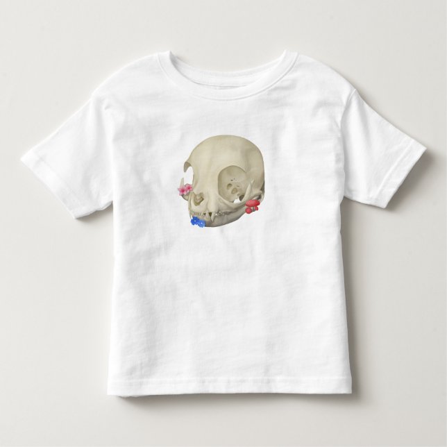 Katzenschädel mit Flora Kleinkind T-shirt (Vorderseite)
