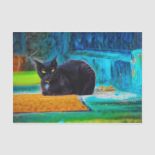 Katzenschwarz Niedlich farbenfrohe blaue Orangende Seidenpapier