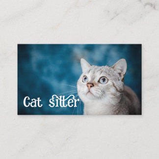 Katzensitter Visitenkarte