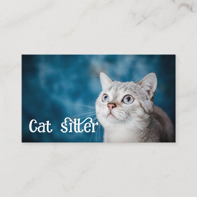 Katzensitter Visitenkarte (Vorderseite)