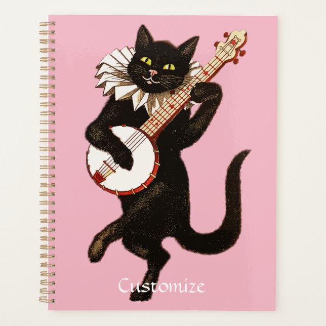 Katzenspiel Banjo Thunder_Cove Planer (Vorderseite)