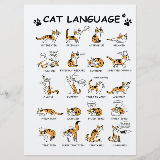 Katzensprache, lustiges Katzen Kitten, Liebe Katze Menükarte (Vorderseite)
