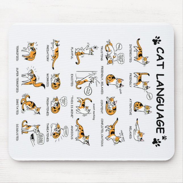 Katzensprache, lustiges Katzen Kitten, Liebe Katze Mousepad (Vorne)