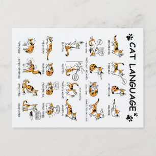 Katzensprache, lustiges Katzen Kitten, Liebe Katze Postkarte