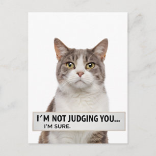 Katzenspruch mit sarkastischer Note Minimal Art Postkarte