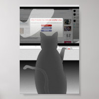 Katzensurfen-2011