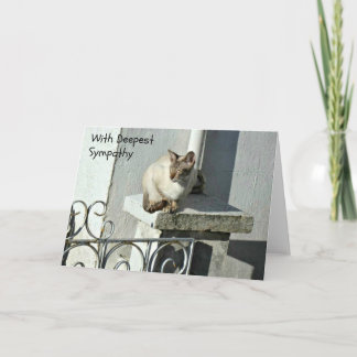 Katzensympathie-Karte mit grauer und weißer Katze Karte