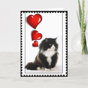 Katzenvalentin Feiertagskarte