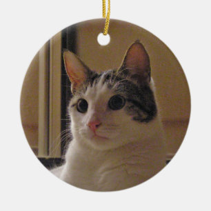 Katzenverzierung Keramikornament