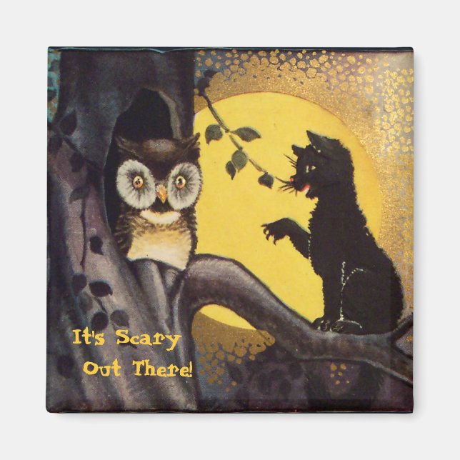 Katzenwarnung Halloween-Magnet Magnet (Vorne)