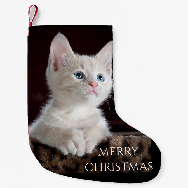 Katzenweihnachtlicher Strumpf. Kleiner Weihnachtsstrumpf (Vorderseite)