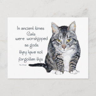 Katzenweisheit - in alten Zeiten waren Katzen Postkarte