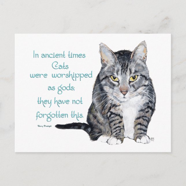 Katzenweisheit - in alten Zeiten waren Katzen Postkarte (Vorderseite)