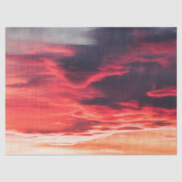 Katzenwelle Seidenpapier