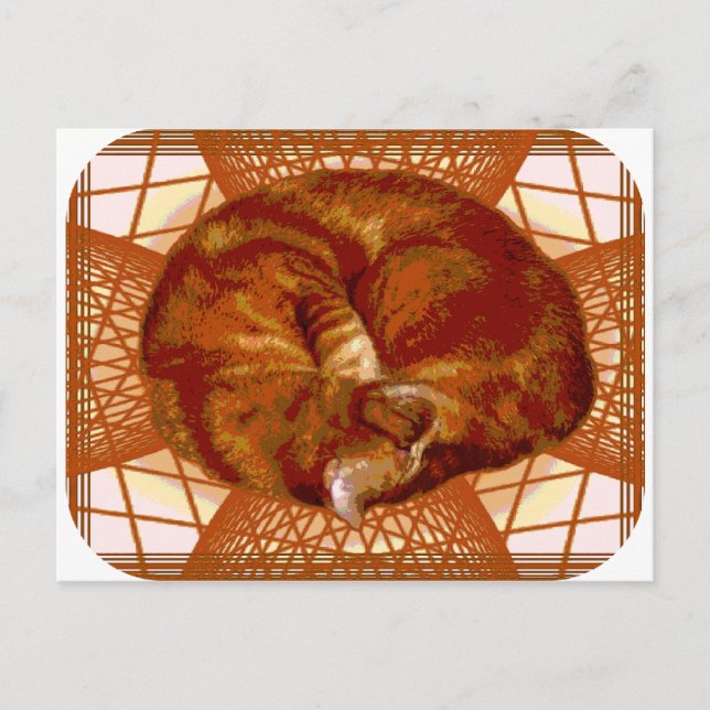Katzenwickel Postkarte (Vorderseite)