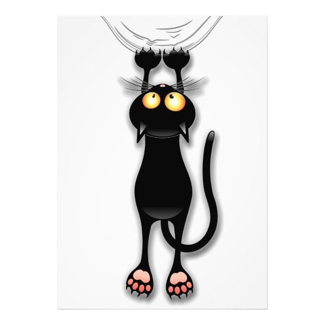 Katzenwitterungsstoff Fotodruck (Vorne)
