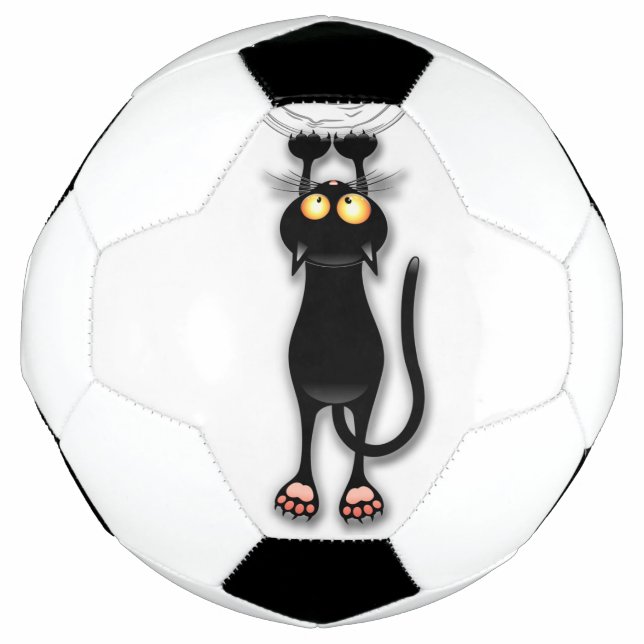 Katzenwitterungsstoff Fußball (Vorderseite)