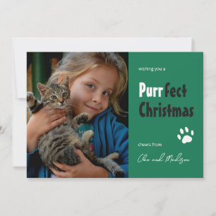 Katzenwitz Perfektes Weihnachtsfoto Haustier Urlau Feiertagskarte
