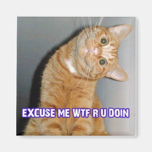 Katzenwut Magnet (Vorne)