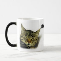 Katzenzitat-Tasse (Farbändern)