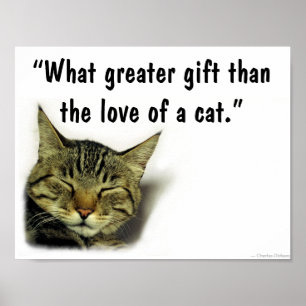 Katzenzitatplakat Poster