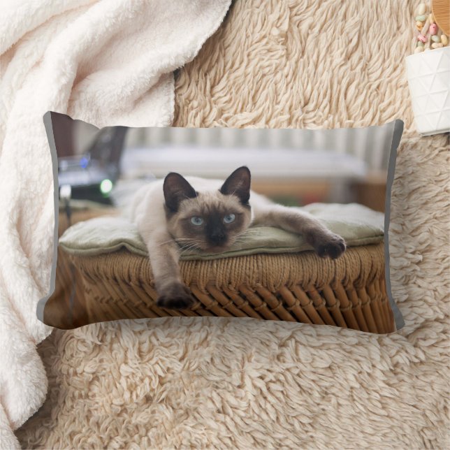 KATZKUDDLE SIAMESE PILLOWS LENDENKISSEN (Decke)