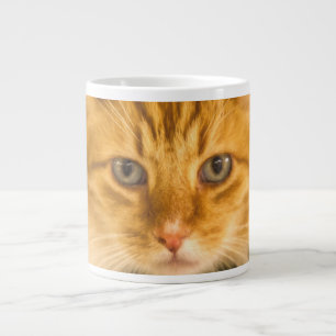 KATZSTARE FÜR MAINE COON Jumbo-Tasse